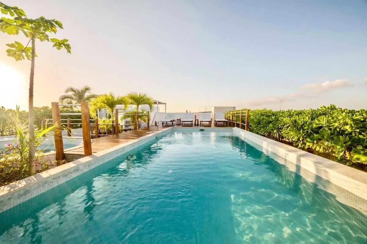 Holiday home Oceanview Pool Near Av 5Th Beach 6 Guest Fast Wifi Playa del Carmen Mexico