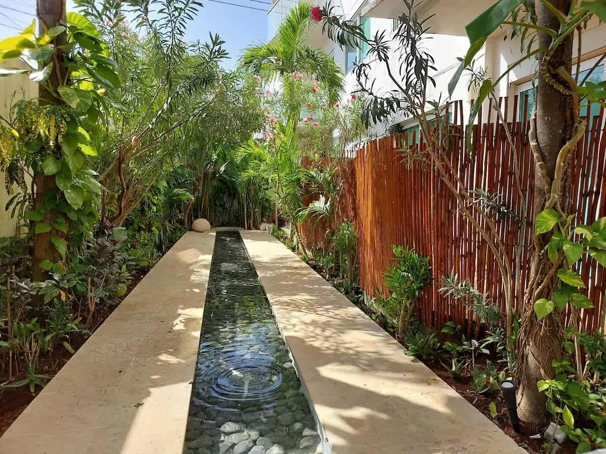Oceanview Pool Near Av 5Th Beach 6 Guest Fast Wifi Playa del Carmen