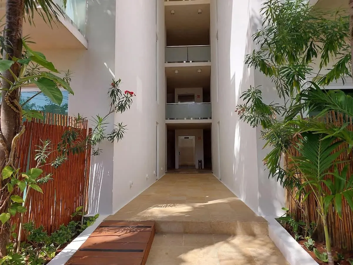 Holiday home Oceanview Pool Near Av 5Th Beach 6 Guest Fast Wifi Playa del Carmen Mexico