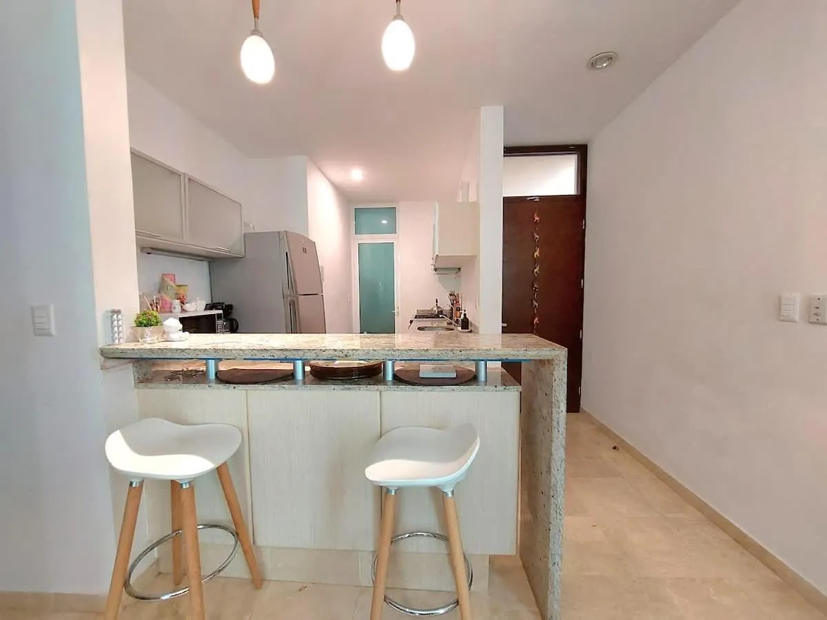Oceanview Pool Near Av 5Th Beach 6 Guest Fast Wifi Playa del Carmen Holiday home